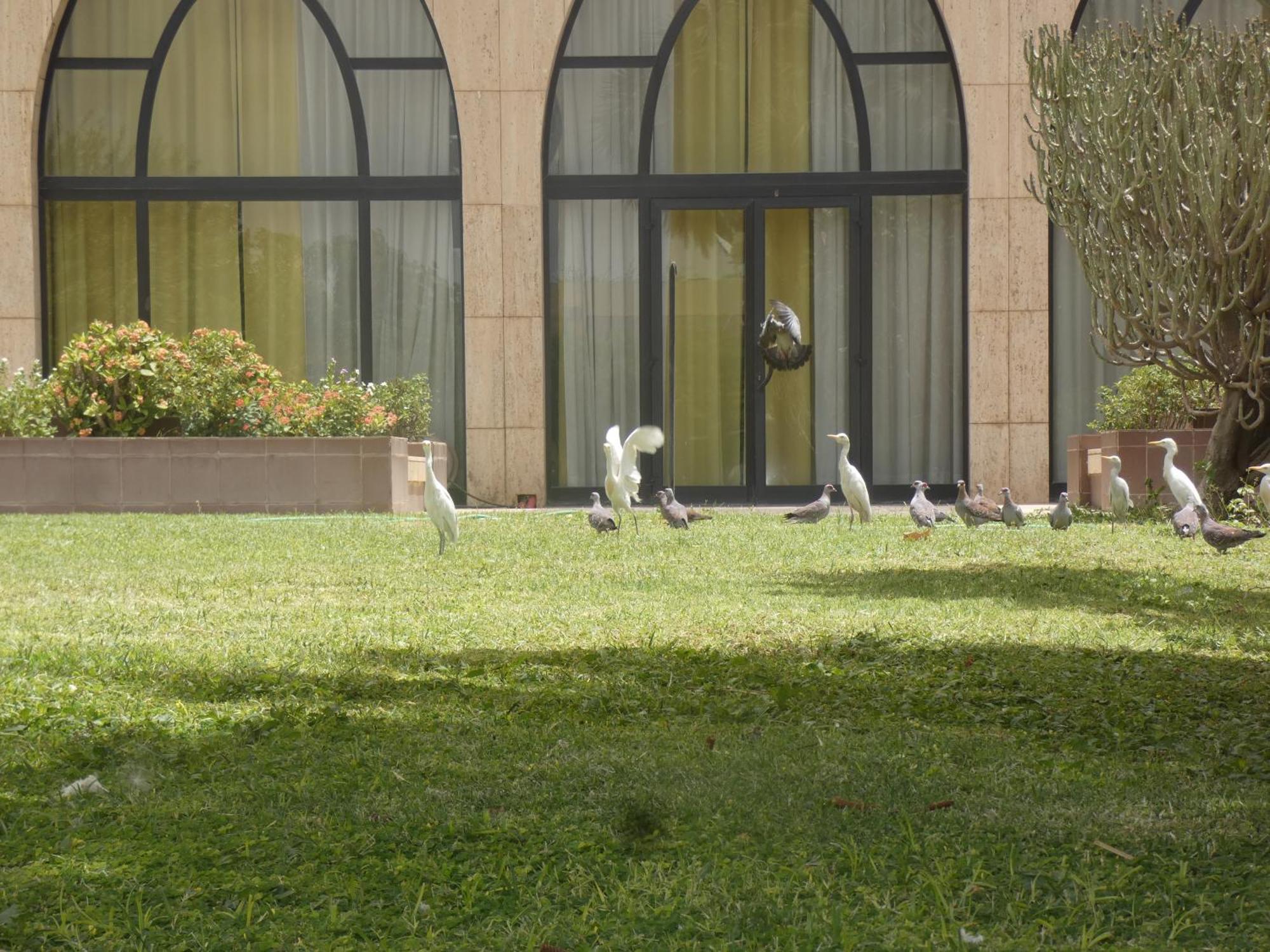 L'Amitie Hotel NʼDjamena Exteriér fotografie
